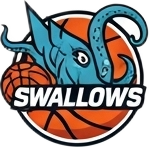 Swallows