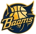 logo Bulls
